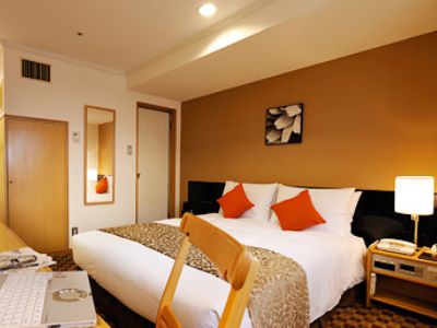 Hotel Ginza Nikko Tóquio
